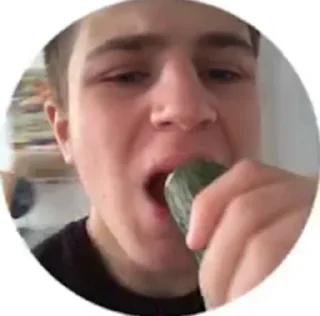 🥒 emoji 50 оттенков Умахана Telegram sticker 9 of 15