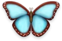 🦋 emoji Sho0k dia Telegram sticker 8 of 120