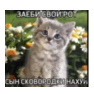 🫥 emoji Китики и не только Telegram sticker 7 of 120