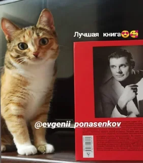 ☺️ emoji Е. Н. Понасенков Telegram sticker 7 of 120