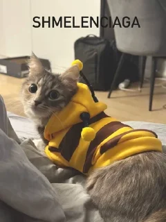 🌟 emoji шмелиное кафе 🐝 Telegram sticker 23 of 35