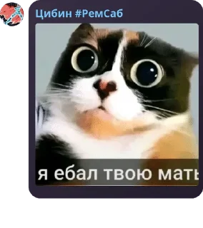 🇪🇭 emoji Аутистический пак от @Guris457 Telegram sticker 19 of 110