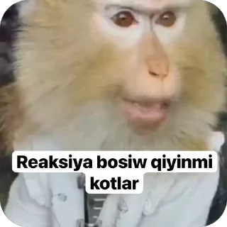 🤩 emoji Miracl_stik nax Telegram sticker 7 of 69