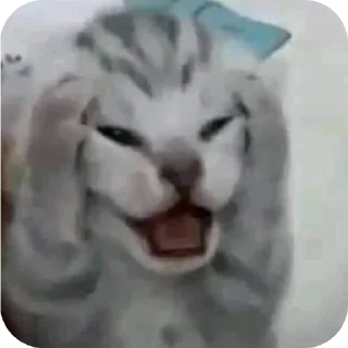 👄 emoji Sılalom'un bebikleri Telegram sticker 5 of 35