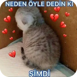 👍 emoji Sılalom'un bebikleri Telegram sticker 14 of 35