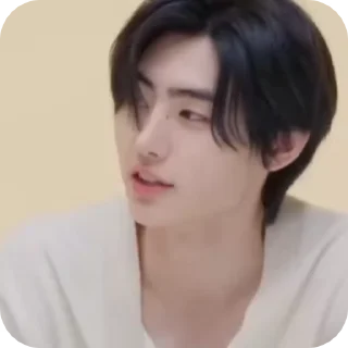 🌟 emoji SUNGHOON&JUNGWON Telegram sticker 9 of 36