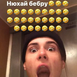 🤣 emoji сука Telegram sticker 18 of 20