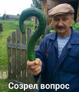 ❔ emoji Долой трусы, свобода письке Telegram sticker 9 of 80