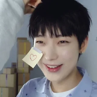 ❤️ emoji Сону!! @blinkxwes Telegram sticker 8 of 45