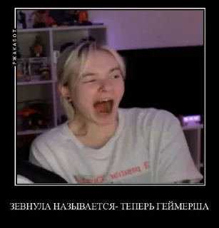 🕷 emoji Гост бразерс @Viitalir Telegram sticker 18 of 41