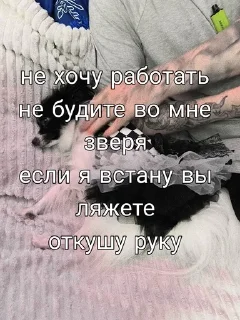 😴 emoji под лирикой Telegram sticker 6 of 39