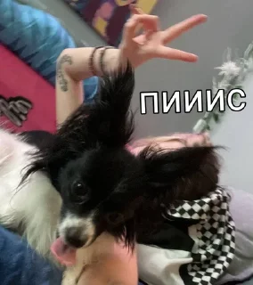 ✌️ emoji под лирикой Telegram sticker 14 of 39