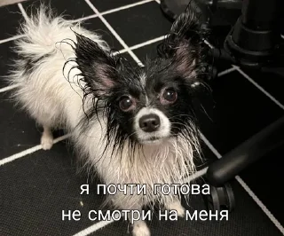 🤨 emoji под лирикой Telegram sticker 16 of 39
