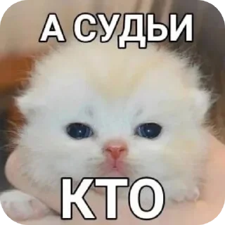 🐱 emoji Я как котики Telegram sticker 6 of 109