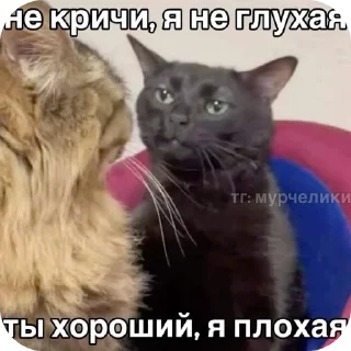 🐱 emoji Я как котики Telegram sticker 7 of 109