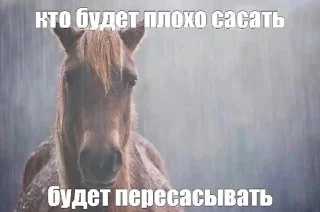 🌟 emoji лееее гаджишка делаешь Telegram sticker 23 of 51