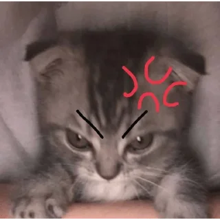 🤬 emoji Ээээ Telegram sticker 16 of 38