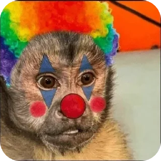 🤡 emoji Слейні монкіс 💅🏻🙄 Telegram sticker 23 of 96