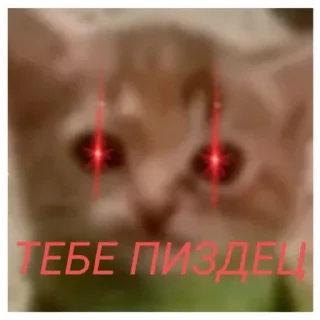 🐱 emoji Стикеры группы Telegram sticker 16 of 16