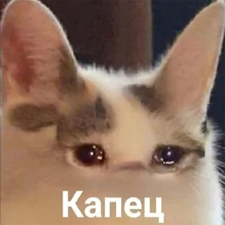 ☹️ emoji memes Telegram sticker 4 of 54