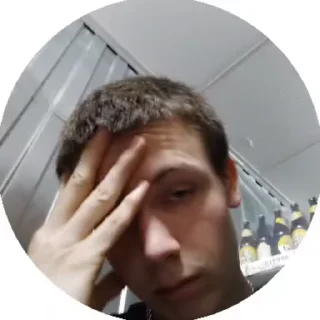 🤦 emoji Хуй и бригада Telegram sticker 13 of 24