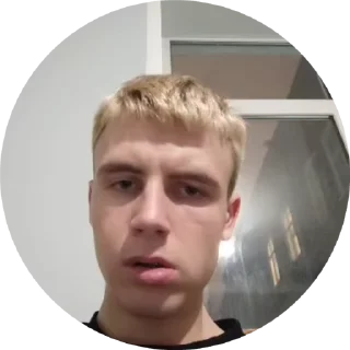 🤨 emoji Хуй и бригада Telegram sticker 19 of 24