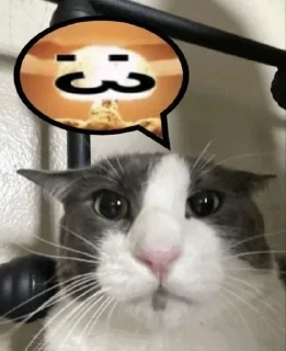 🌟 emoji Ух я такой суссии Telegram sticker 11 of 16