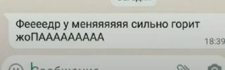 😭 emoji Стикеры кота Telegram sticker 5 of 8