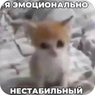 Sticker from агресивни няшка