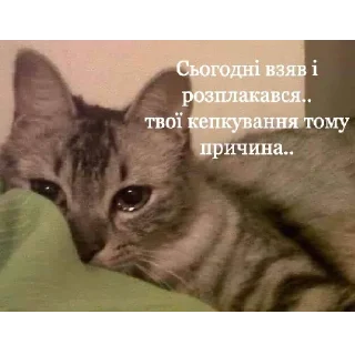 😢 emoji підвал мемів Telegram sticker 20 of 52