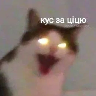 😈 emoji підвал мемів Telegram sticker 22 of 52
