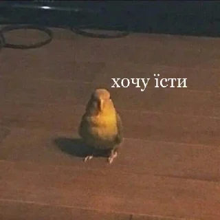 🥺 emoji підвал мемів Telegram sticker 19 of 52