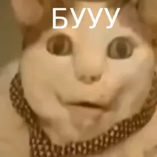 Sticker from БУ ИСПУГАЛСЯ