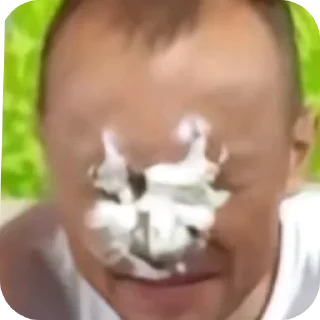 🤲 emoji Придумайте сами Telegram sticker 13 of 30