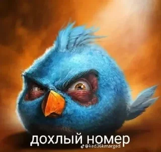 🌟 emoji Сидим не рыпаемся by @kagayaku Telegram sticker 9 of 19