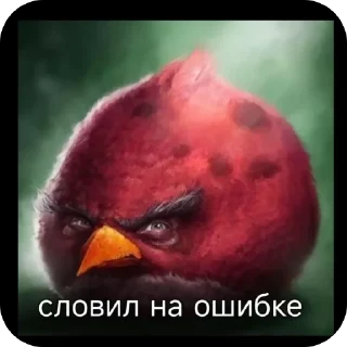 🫥 emoji Птички | @nik1323maz Telegram sticker 17 of 112