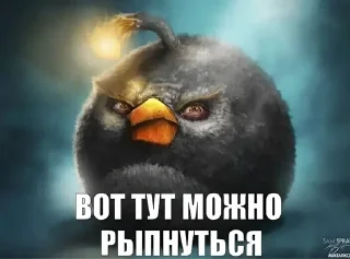 🌟 emoji Сидим не рыпаемся :: V2ggvp Telegram sticker 17 of 70