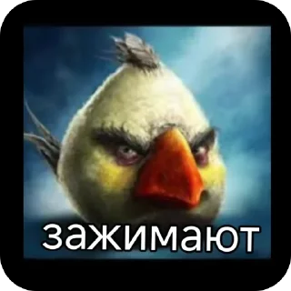 🫥 emoji Птички | @nik1323maz Telegram sticker 19 of 112