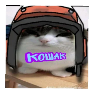 😄 emoji Кошаки 2 Telegram sticker 17 of 25