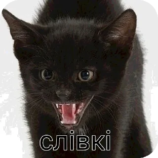🔥 emoji Историк пикми(R.I.P историк...) Telegram sticker 21 of 115