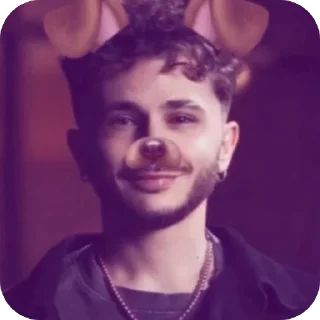 🐶 emoji Пикми Telegram sticker 8 of 44