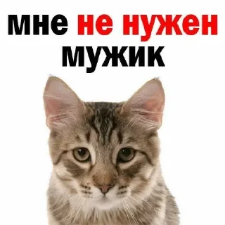 😡 emoji IdylHemalTuck Telegram sticker 7 of 42