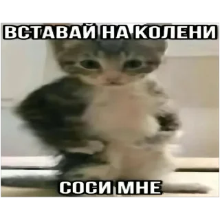🫥 emoji Хуйня якась Telegram sticker 3 of 54