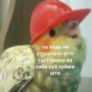 👍 emoji Херня Telegram sticker 19 of 83