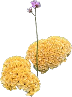 🌷 emoji Держи цветочек 🌸 @nomand_margo Telegram sticker 13 of 55