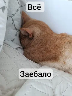😑 emoji Пак Вантуза или типо того Telegram sticker 5 of 35