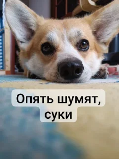 Sticker from Пак Вантуза или типо того