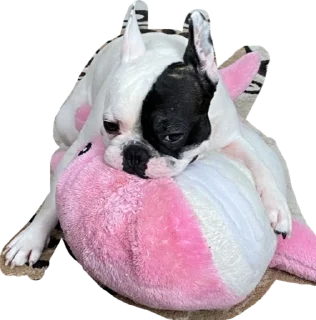💞 emoji ТОММИ Telegram sticker 18 of 22