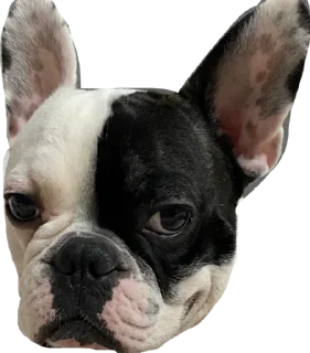 😳 emoji ТОММИ Telegram sticker 22 of 22