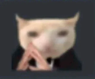 Sticker from kittens